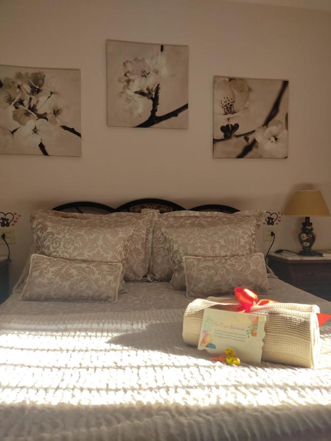 Apartament Casa Primavera Setenil De Las Bodegas Zewnętrze zdjęcie