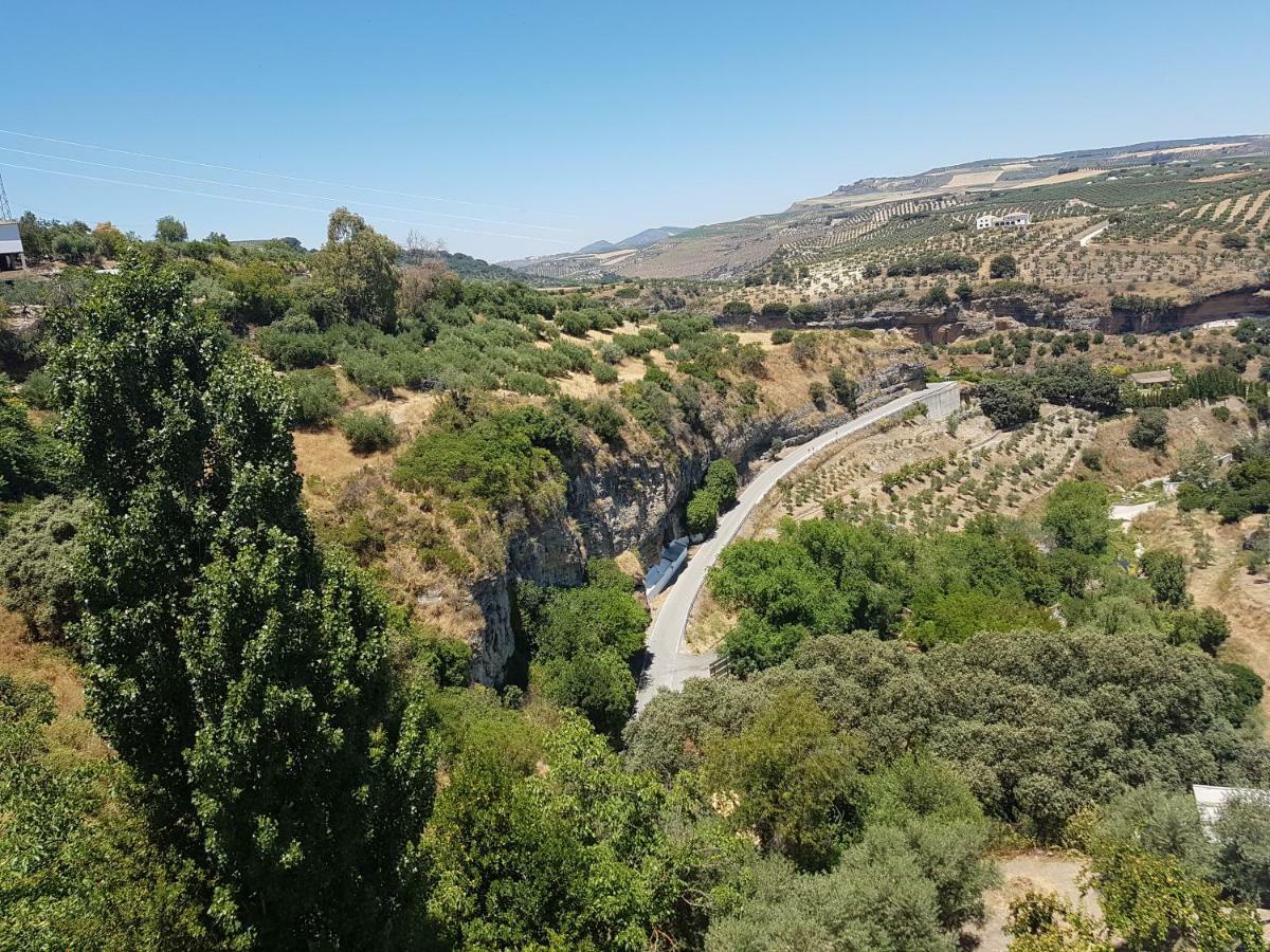 Apartament Casa Primavera Setenil De Las Bodegas Zewnętrze zdjęcie